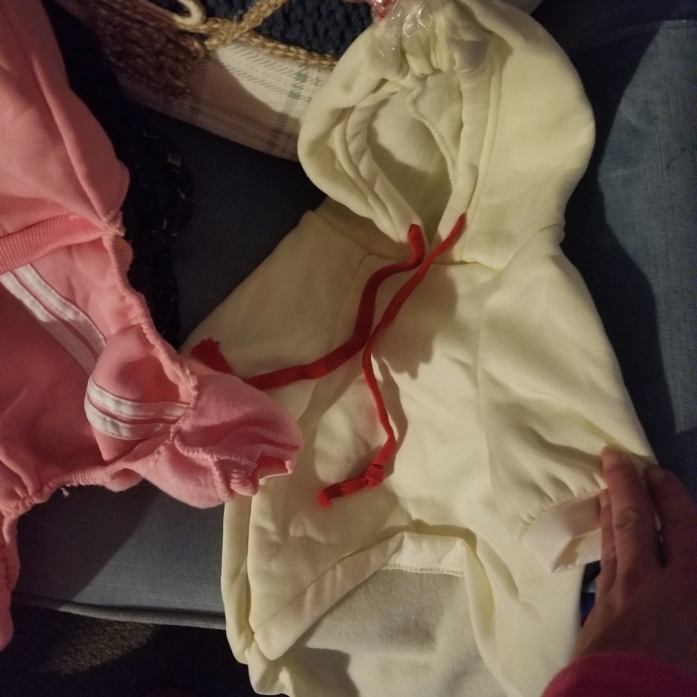 Dog clothes - Picture 2 of 8